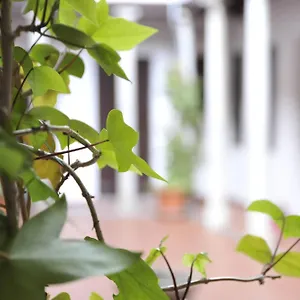 Appartement Adanar-las Columnas, Grenade