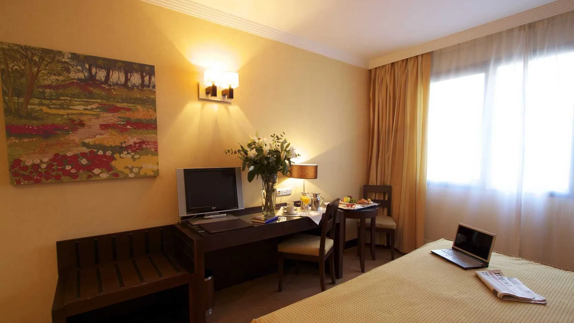 Hotel Occidental Granada